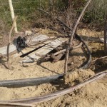 Top of the Ariel's well