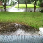 Summer Rain