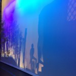 Light & Color
